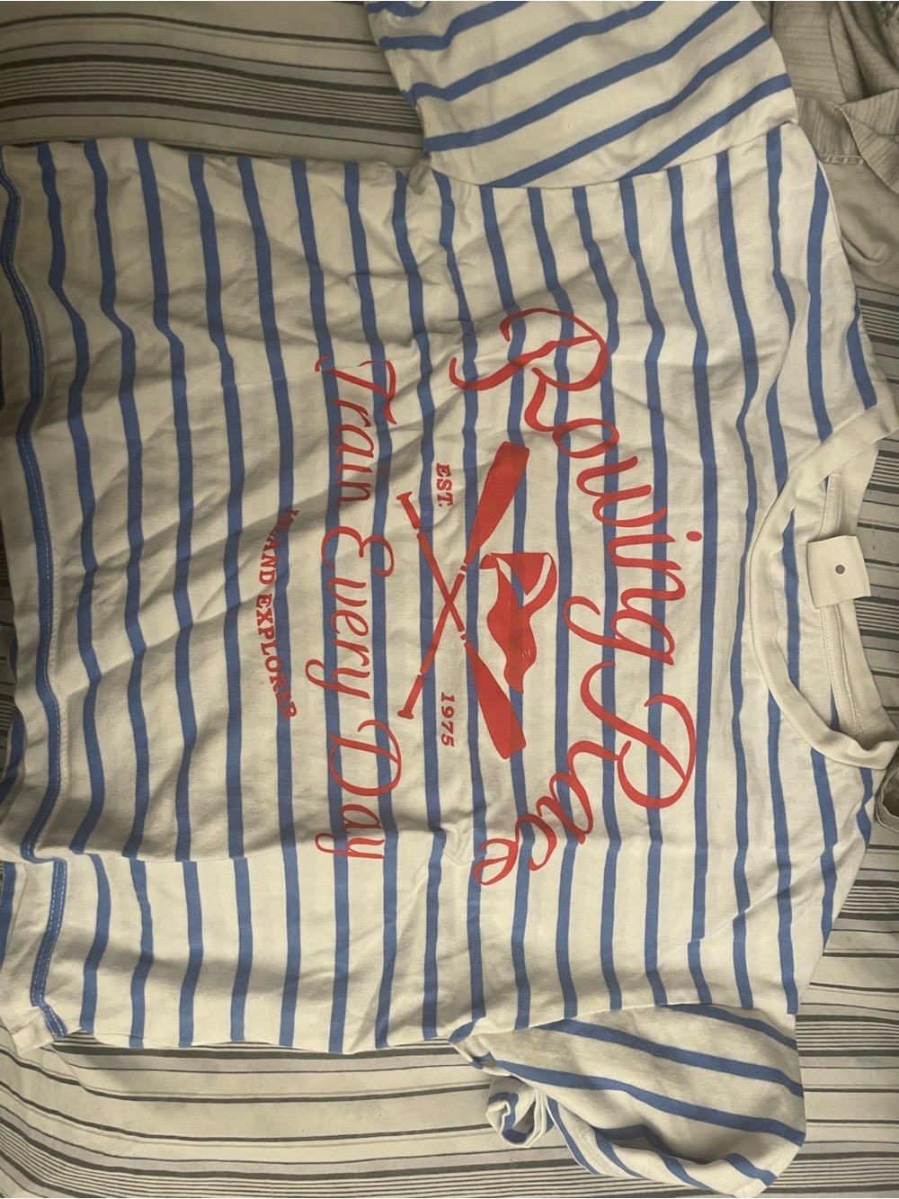 Zara White & Blue Striped Tee with Red Graphic